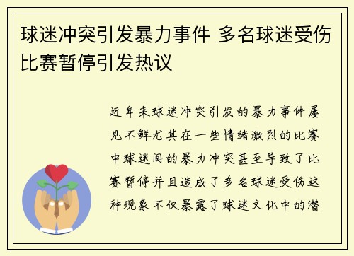 球迷冲突引发暴力事件 多名球迷受伤比赛暂停引发热议