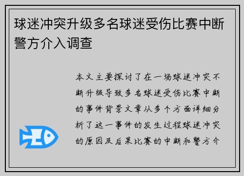 球迷冲突升级多名球迷受伤比赛中断警方介入调查